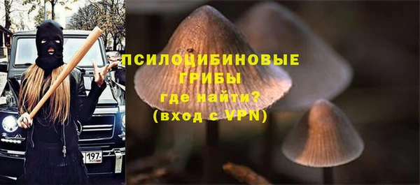 дживик Алзамай
