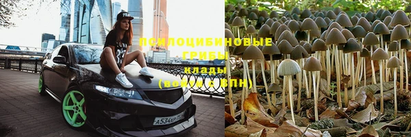 дживик Алзамай