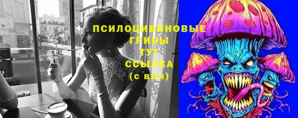 соль ск Абдулино