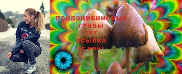 крисы Алексин