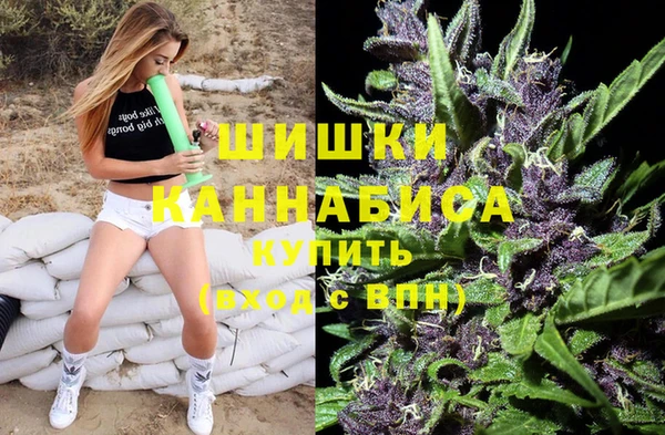 дживик Алзамай